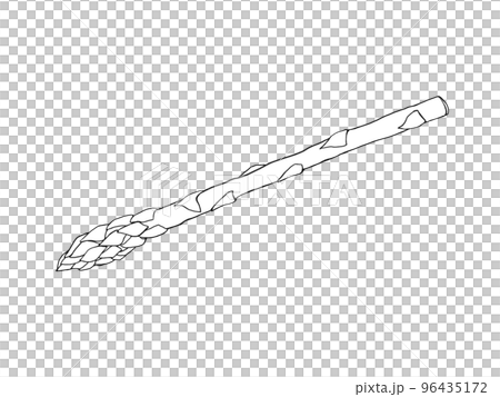 アスパラガスのシンプルな線画イラスト 96435172