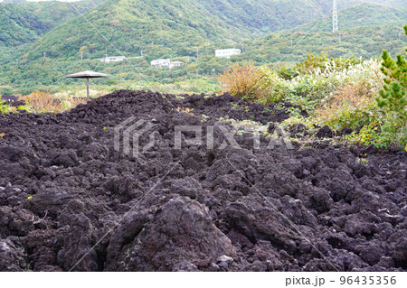 火山遊歩道の溶岩流（東京都三宅島） 96435356