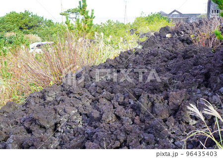 火山遊歩道の溶岩流（東京都三宅島） 96435403