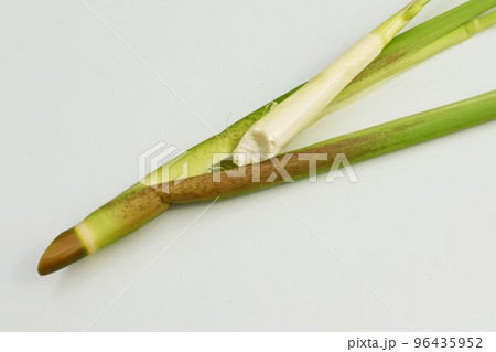 マコモダケ栽培・収穫作業 96435952