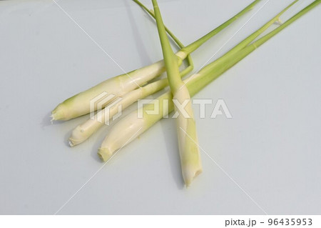 マコモダケ栽培・収穫作業 96435953