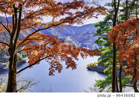 東京都　奥多摩湖　紅葉の風景 96436082