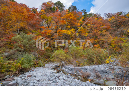 大山金門付近の紅葉　鳥取県西伯郡大山町 96436259