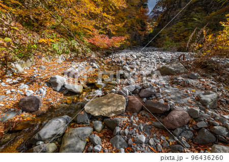 大山金門付近の紅葉　鳥取県西伯郡大山町 96436260