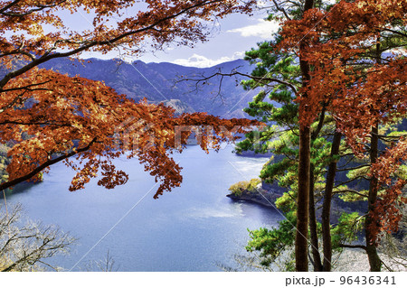 東京都　奥多摩湖　紅葉の風景 96436341
