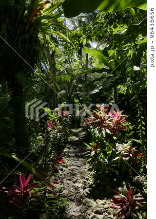 The world heritage site. Nan Madol in Pohnpei, Micronesia. The world heritage site. Nan Madol in Pohnpei, Micronesia. 96436656