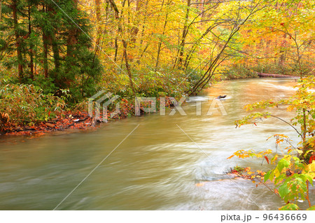 秋、紅葉の奥入瀬渓流 秋、紅葉の奥入瀬渓流 96436669