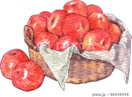 Apple harvest and character watercolor icon png 96439349