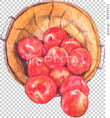 Apple harvest and character watercolor icon png Apple harvest and character watercolor icon png 96439351