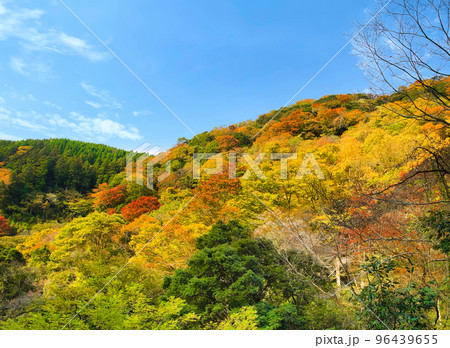 秋の山の紅葉と青空の自然風景・背景素材・日本 秋の山の紅葉と青空の自然風景・背景素材・日本 96439655