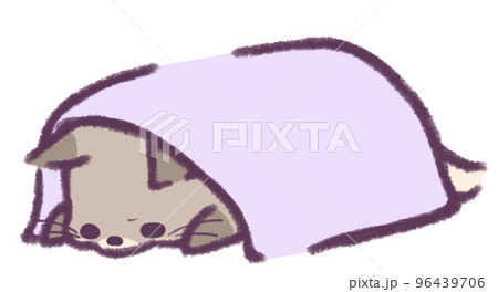 眉をひそめて拗ねたように毛布をかぶる灰色の狐 眉をひそめて拗ねたように毛布をかぶる灰色の狐 96439706