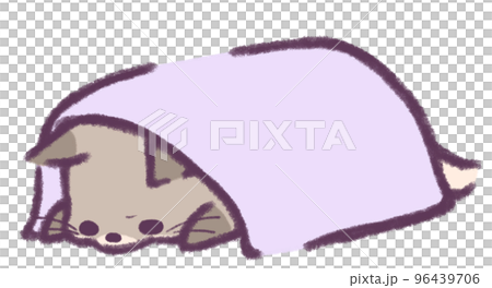 眉をひそめて拗ねたように毛布をかぶる灰色の狐 眉をひそめて拗ねたように毛布をかぶる灰色の狐 96439706