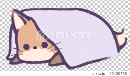 A fox looking at you while wearing a blanket 96439708