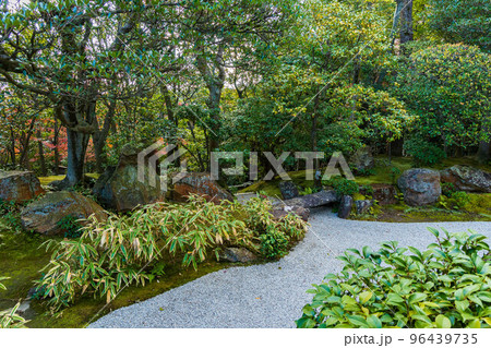 京都洛西の秋　紅葉の退蔵院　元信の庭 96439735