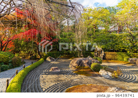 京都洛西の秋 紅葉の退蔵院 陰陽の庭 京都洛西の秋 紅葉の退蔵院 陰陽の庭 96439741
