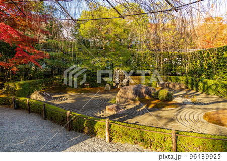 京都洛西の秋　紅葉の退蔵院　陰陽の庭 96439925