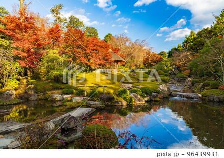 京都洛西の秋 紅葉の退蔵院 余香苑 京都洛西の秋 紅葉の退蔵院 余香苑 96439931