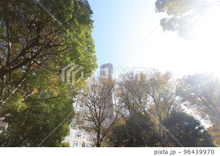 東京都庁。秋の風景。 東京都庁。秋の風景。 96439970