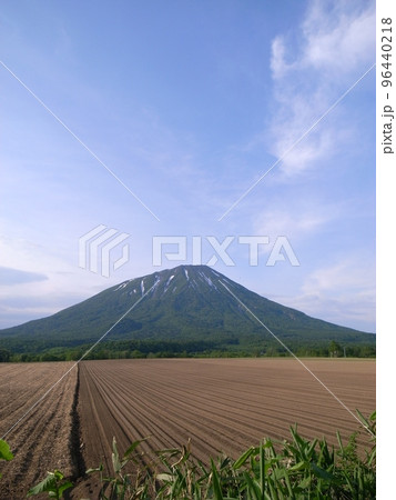 青空・畑・羊蹄山(縦位置) 青空・畑・羊蹄山(縦位置) 96440218
