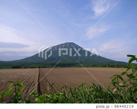 青空・畑・羊蹄山(横位置) 青空・畑・羊蹄山(横位置) 96440219