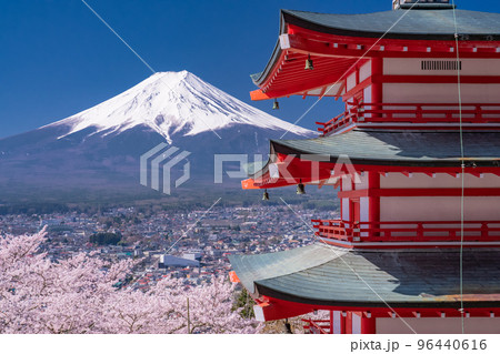 《山梨県》富士山と五重塔と満開の桜・春の新倉山浅間公園 96440616