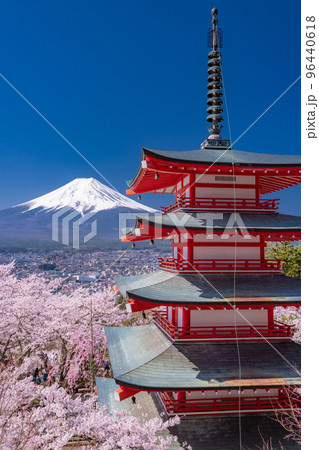 《山梨県》富士山と五重塔と満開の桜・春の新倉山浅間公園 96440618