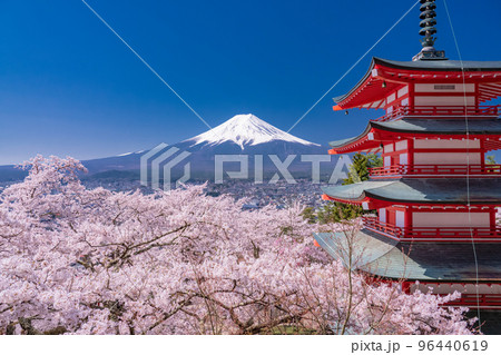 《山梨県》富士山と五重塔と満開の桜・春の新倉山浅間公園 96440619