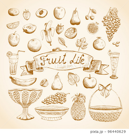 Sketches of juicy fresh fruits 96440629
