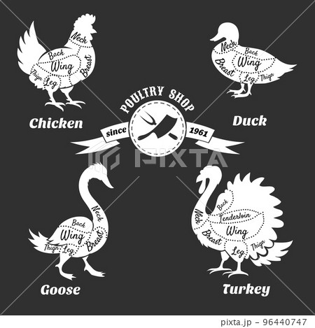 Poultry cuts poster. Chicken and duck, goose turkey Poultry cuts poster. Chicken and duck, goose turkey 96440747