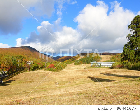 蔵王ライザワールド　坊平高原　蔵王　紅葉　黄葉 96441677