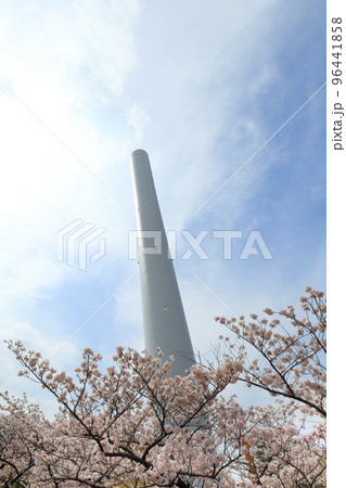 清掃工場と桜 96441858
