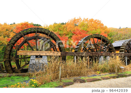 飛騨荘川の五連水車と紅葉 96442039