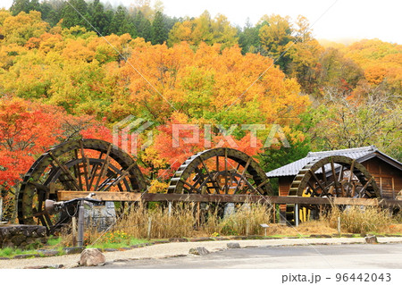 飛騨荘川の五連水車と紅葉 96442043