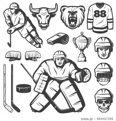 Vintage Hockey Elements Set Vintage Hockey Elements Set 96442399