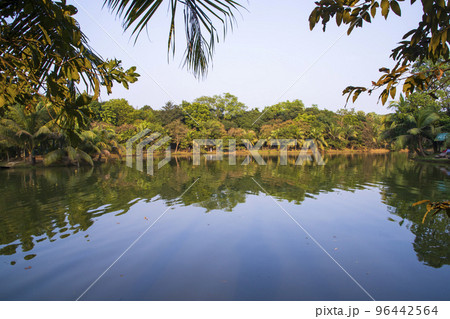 Natural landscape view Reflection of trees in the lake water against blue sky Natural landscape view Reflection of trees in the lake water against blue sky 96442564