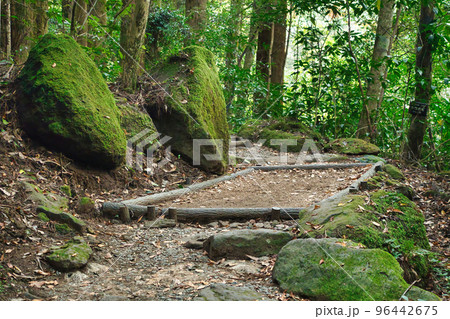 苔岩に囲まれた山道の自然風景 苔岩に囲まれた山道の自然風景 96442675