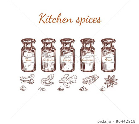 Hand Drawn Kitchen Spices Set Hand Drawn Kitchen Spices Set 96442819