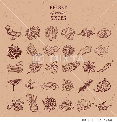 Natural Spices And Herbs Collection Natural Spices And Herbs Collection 96442861