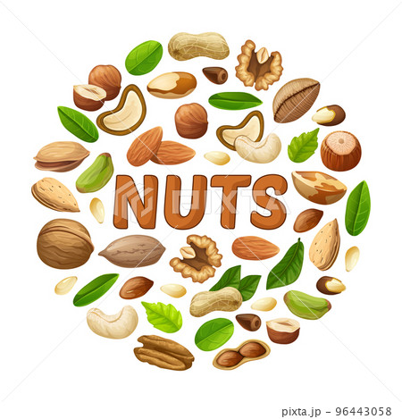Cartoon Nuts Round Concept Cartoon Nuts Round Concept 96443058