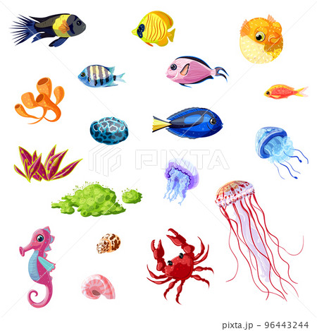 Cartoon Colorful Sea Life Set 96443244