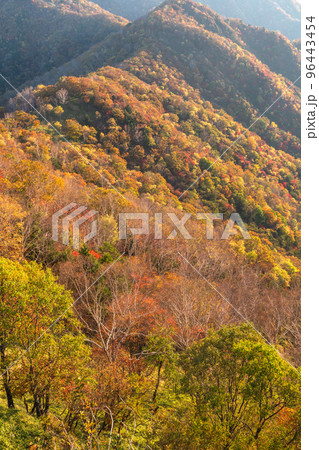 《栃木県》紅葉の奥日光・秋の半月山の眺望 《栃木県》紅葉の奥日光・秋の半月山の眺望 96443454