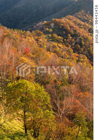 《栃木県》紅葉の奥日光・秋の半月山の眺望 96443456