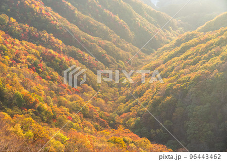 《栃木県》紅葉の奥日光・秋の半月山の眺望 96443462