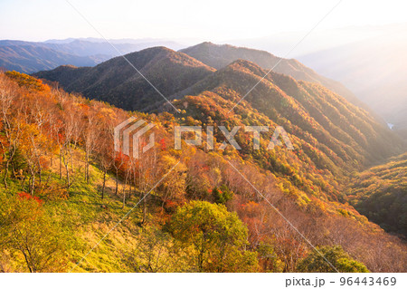 《栃木県》紅葉の奥日光・秋の半月山の眺望 96443469