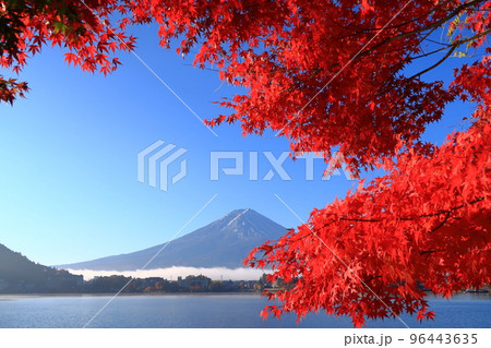 秋の河口湖の景観 秋の河口湖の景観 96443635