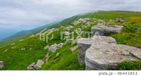 stones and boulder on the steep slope. grassy alpine meadows of carpathian countryside. mountain landscape in summer with overcast sky stones and boulder on the steep slope. grassy alpine meadows of carpathian countryside. mountain landscape in summer with overcast sky 96443853