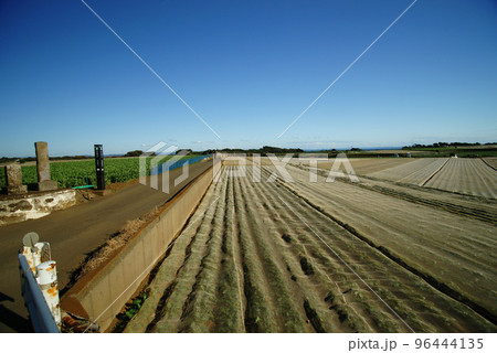 毘沙門尊天の碑 96444135