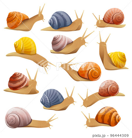 Decorative Snails Set Decorative Snails Set 96444309
