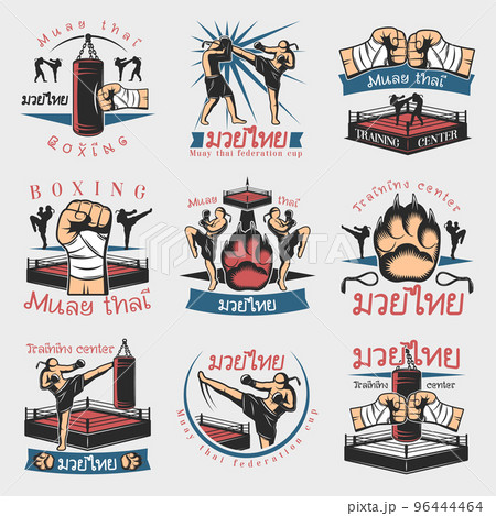Colorful Kickboxing Emblems Set 96444464