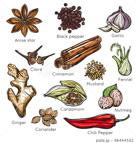 Indian Spices Herbs Icon Set 96444582